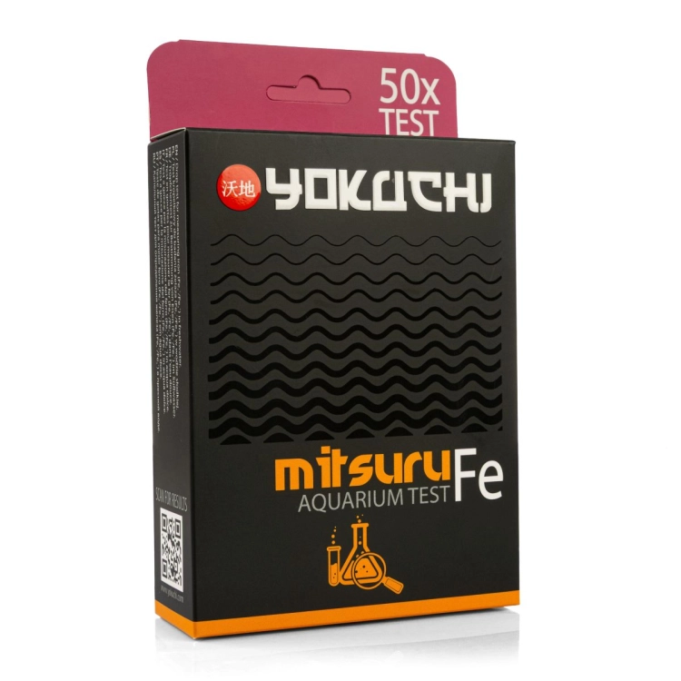 IMG_0395-scaled.jpg