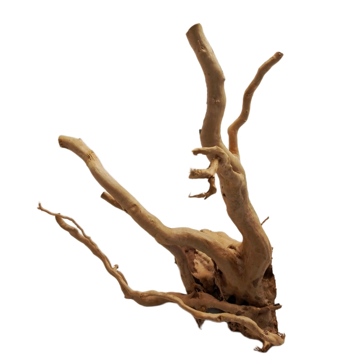 46 (1).png