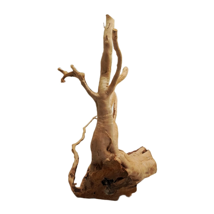 46 (2).png