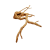 40 (1).png