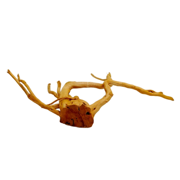 40 (2).png