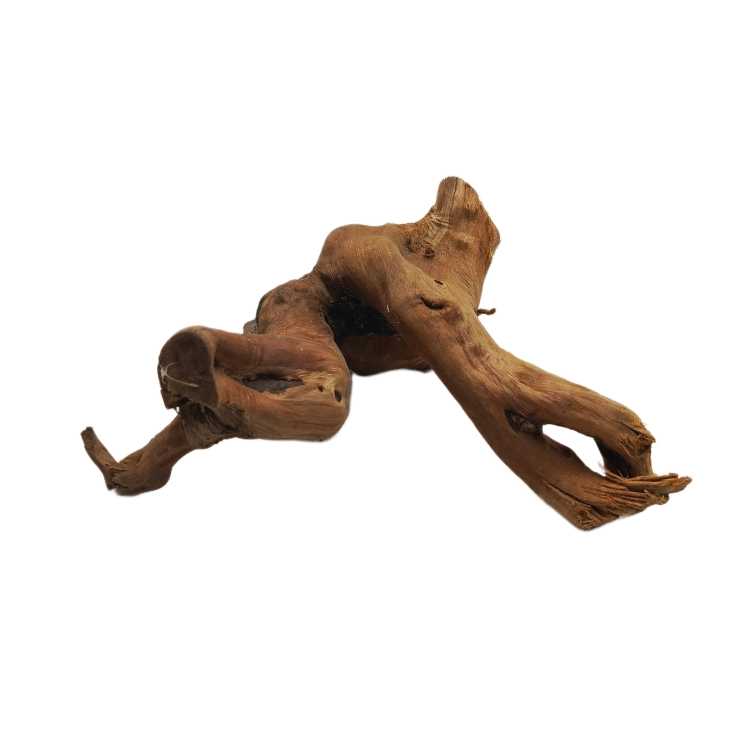 33 (1).png