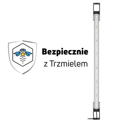 a.jpg