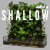 shallow (6).png