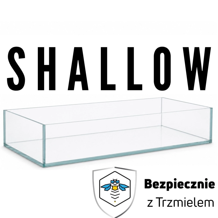 shallow (1).jpg