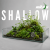 shallow (7).png
