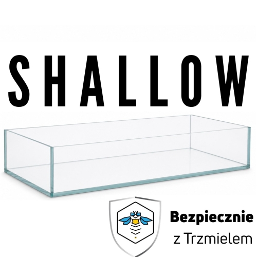 shallow (1).jpg
