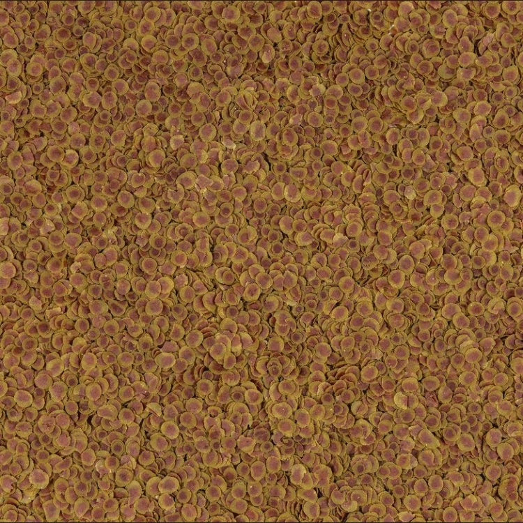 297537.jpg
