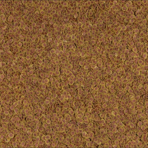 297537.jpg