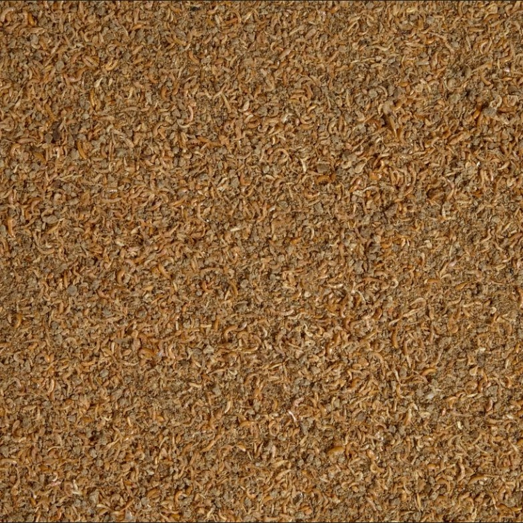 FireShot Capture 1201 - csm_T801846_9631_1d3f8a50a3.png (obraz PNG, 1500×1000 pikseli) — Ska_ - www.tetra.net.jpg