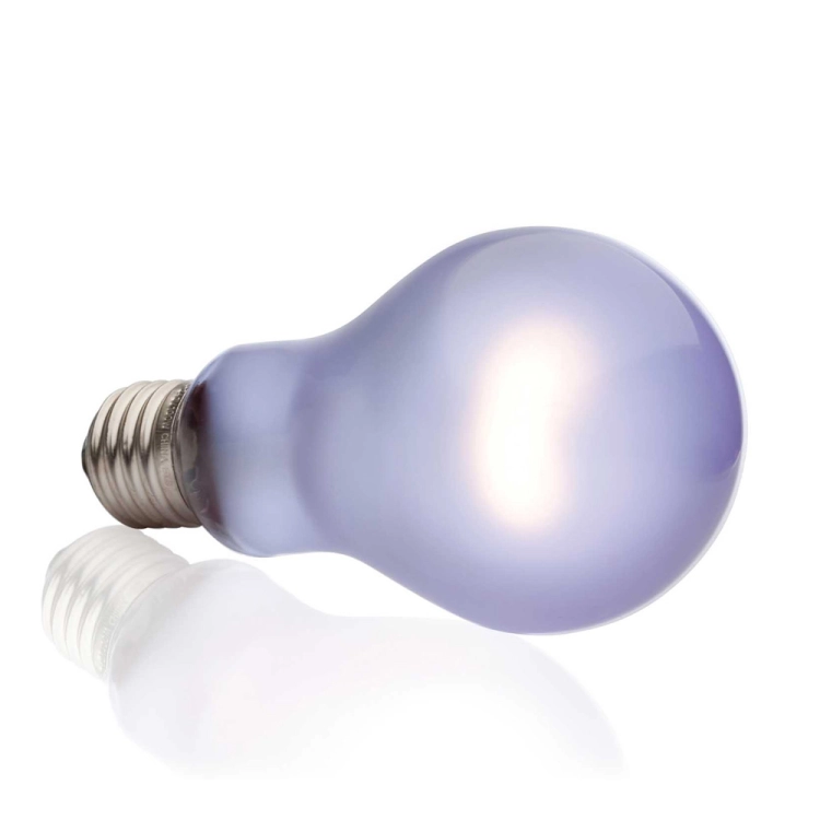 Exo Terra Żarówka Grzewcza 60W Daytime Heat gwint E271.jpg