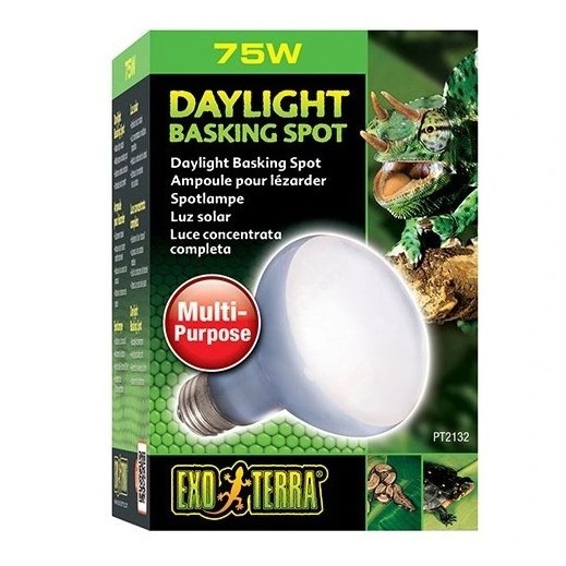 exo-terra-daylight-75w-zarowka-grzewcza-neodymowa.jpg
