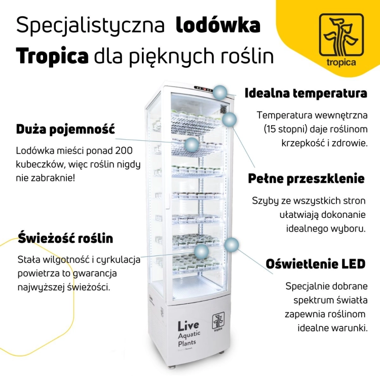 lodówka Tropica.jpg