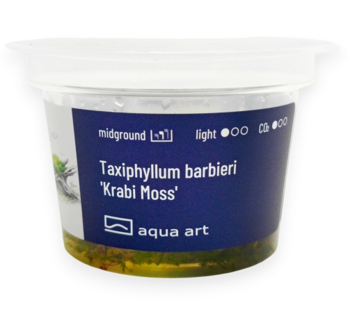 krabi moss.jpg