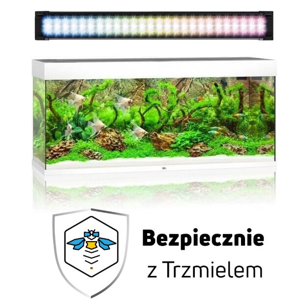 Bez nazwy.jpg