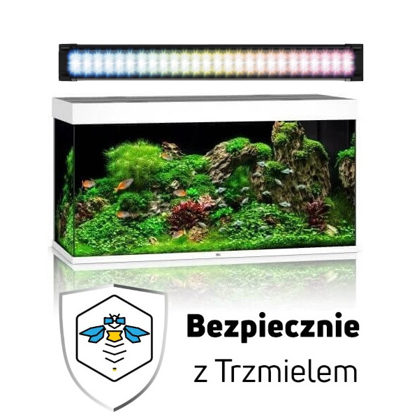 Bez nazwy.jpg
