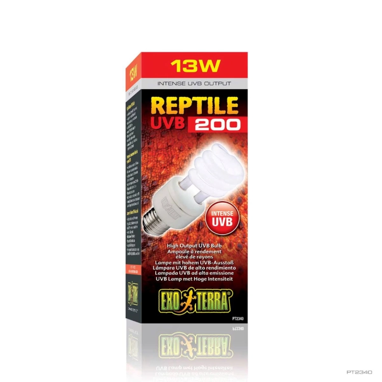 PT2340_03.jpg
