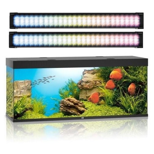 a.jpg