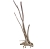 Mitoja Giant Wood 1 - Korzeń 220x100x50cm do akwarium terrarium (2).jpg
