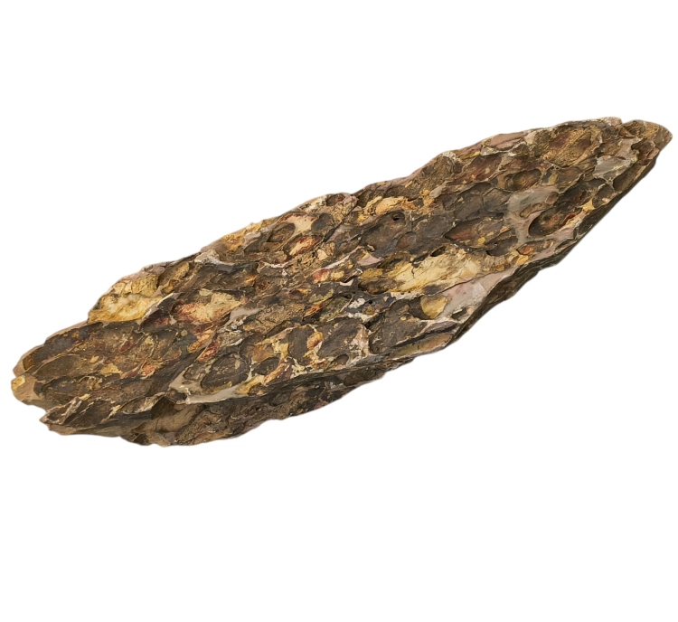 Mitoja Stone Dragon 45-70cm 1szt - Skała dekoracja do akwarium (4).jpg