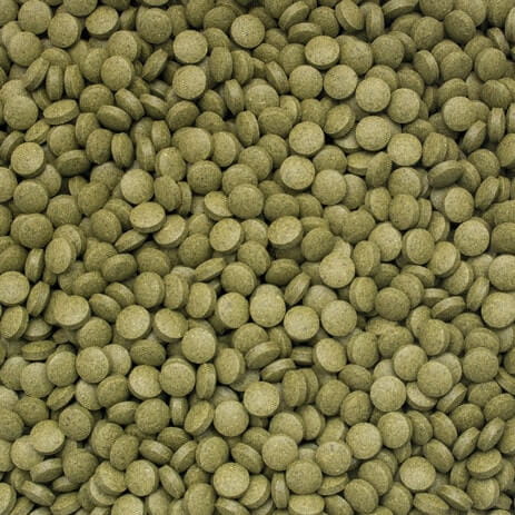 TROPICAL 3-ALGAE TABLETS B 2KG POKARM DLA RYB
