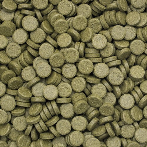 TROPICAL 3-ALGAE TABLETS A 2KG POKARM DLA RYB