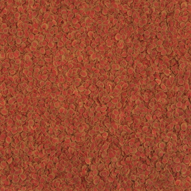 TetraPRO Colour 250 ml - pokarm wybarwiający dla ryb tropikalnych