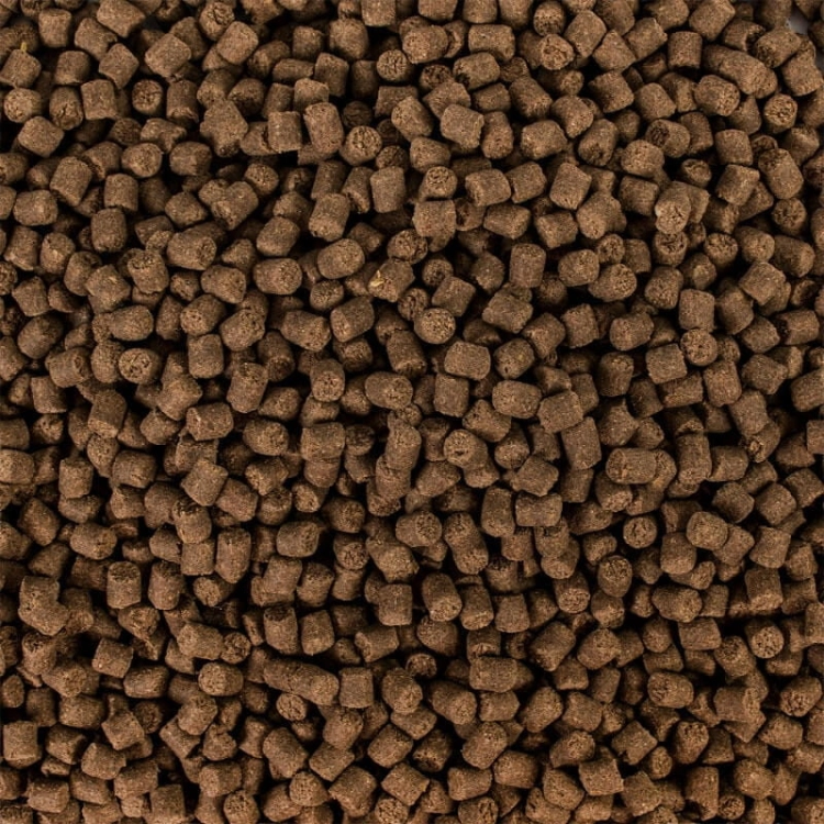 Tropical Sterlet Basic 20kg pokarm dla jesiotrów
