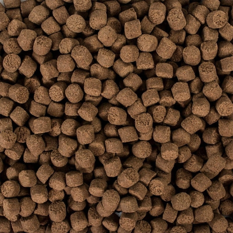 Tropical Sterlet Basic L 3l -1,5kg pokarm dla jesiotrów