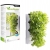 VERSA_GARDEN_HERBS