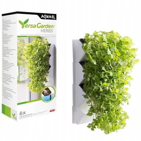 VERSA_GARDEN_HERBS