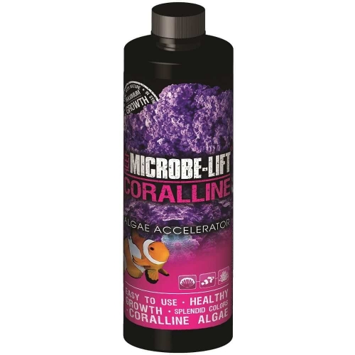 CORALLINE_ALGAE_ACCELERATOR_473ML