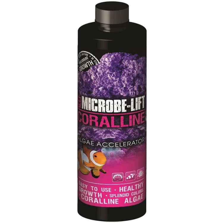 CORALLINE_ALGAE_ACCELERATOR_473ML