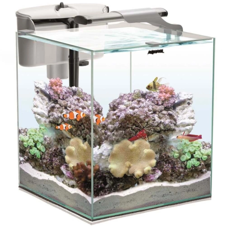 Aquael Nano Reef Duo 35 - zestaw akwarium morskie