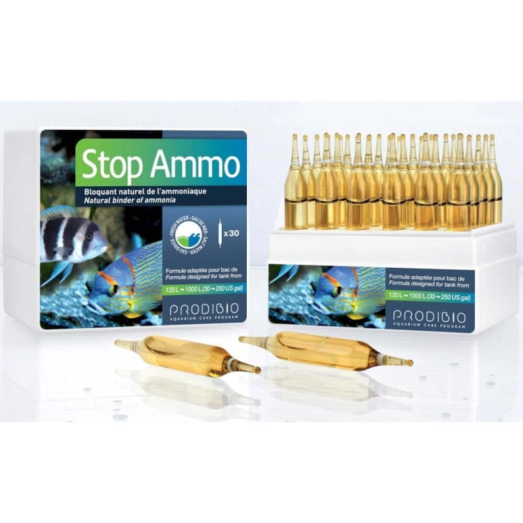 STOP_AMMO_30