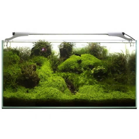Aquael Leddy Slim Plant 36W belka LED biała 100-120cm