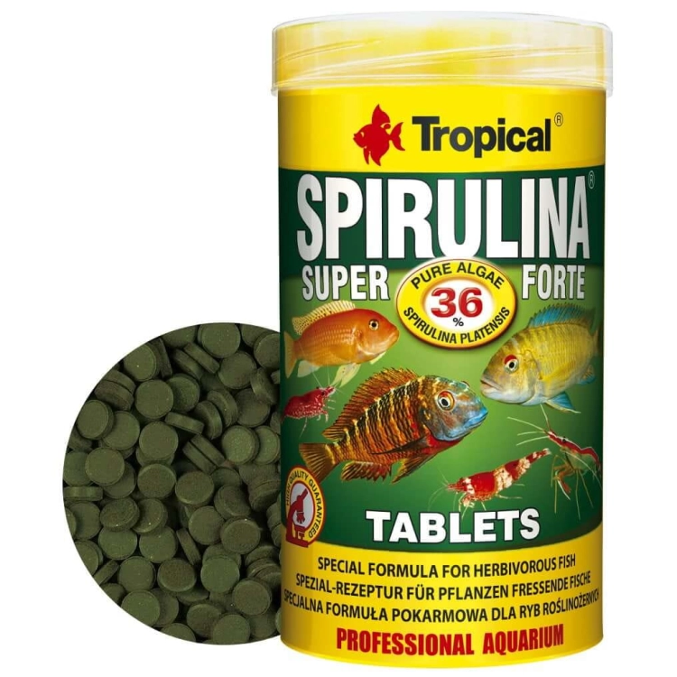 SPIRULINA_SUPER_FORTE_TABLETS_250ML