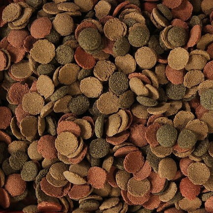 Glopex Small Waffers Mix 50g - wafelki dla ryb