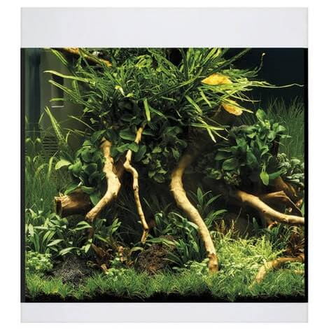 Oase StyleLine 85 LED biały zestaw akwarium + filtr BioPlus Thermo 100