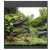 Oase StyleLine 85 LED czarny zestaw akwarium + filtr BioPlus Thermo 100