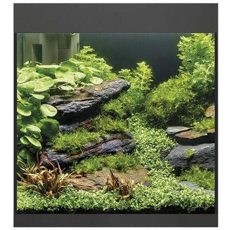 Oase StyleLine 85 LED czarny zestaw akwarium + filtr BioPlus Thermo 100