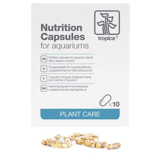 NUTRITION_CAPSULES_10KAPS