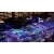 Maxspect Ethereal E5-130 lampa oświetelenie LED do akwarium 130W