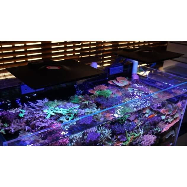 Maxspect Ethereal E5-130 lampa oświetelenie LED do akwarium 130W
