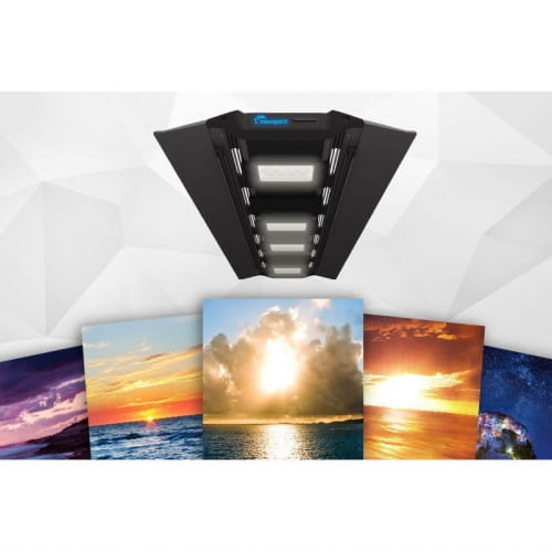 Maxspect RSX R5F-150 lampa LED do akwarium słodkowodnego