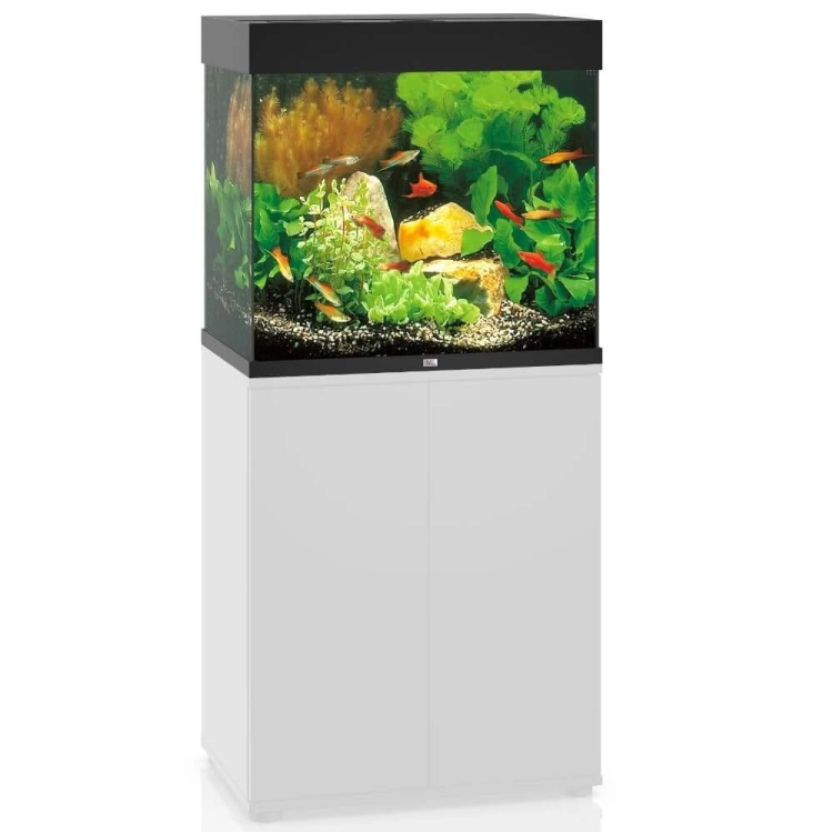 Juwel Lido 120 Helialux Spectrum Akwarium zestaw czarny