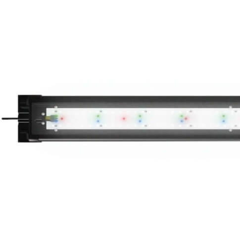 Juwel Lido 120 Helialux Spectrum Akwarium zestaw jasne drewno