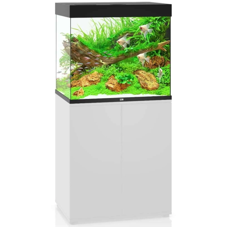 Juwel Lido 200 Helialux Spectrum Akwarium zestaw czarny