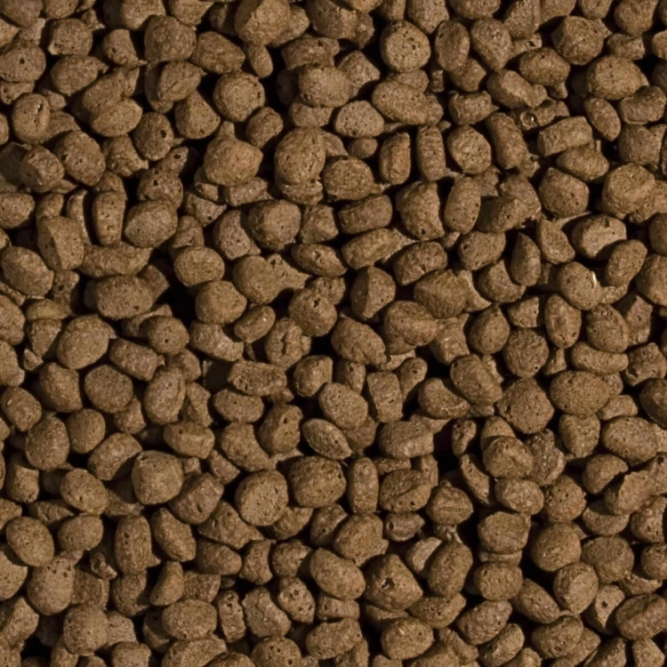 TROPICAL KOI WHEAT GERM & GARLIC PELLET M 5L - 1,6KG POKARM DLA RYB
