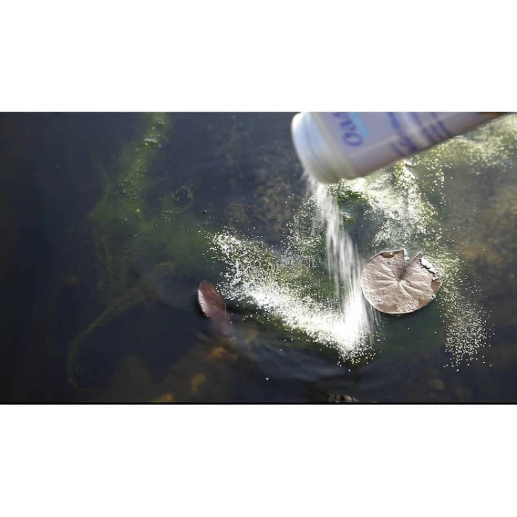 Oase AquaActiv Algo Direct 5L Usuwa glony nitkowate